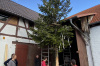 Baumwegbringen2024_15