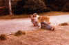 1980