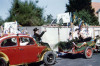 1981