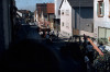 1981