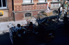 1981