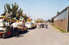 1981