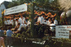 1981