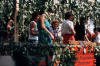 1982