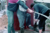 1983