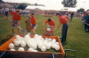 1989