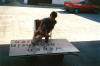 1990