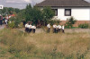 1993