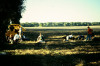 1999