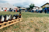 1999