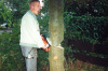 2000