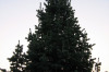 2004