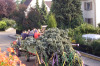 2005