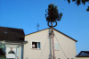 2005