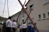 2006