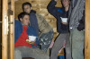 2006