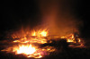 2007