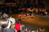 2008
