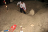 2008