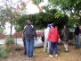 Kerb 2009